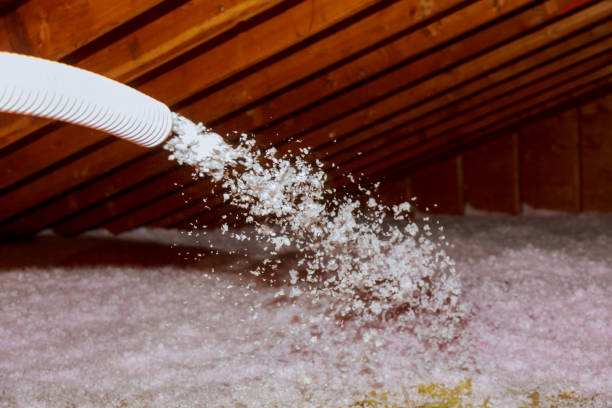 Best Insulation Replacement Services  in Jamestown, NC