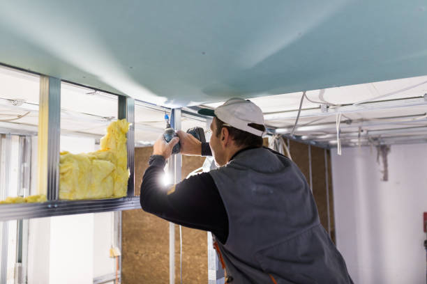 Best Insulation for New Construction  in Jamestown, NC