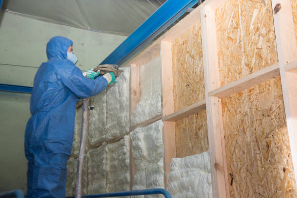 Best Wall Insulation Contractor  in Jamestown, NC