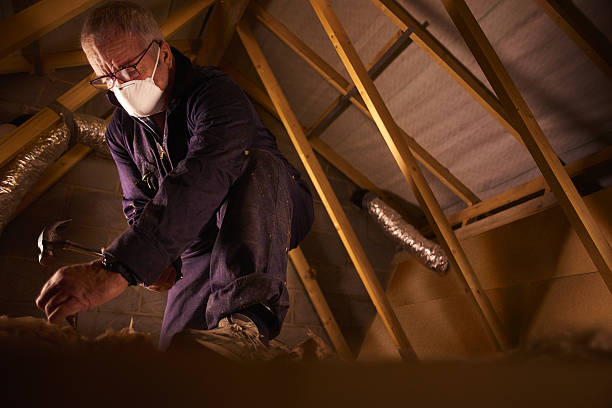 Best Energy-efficient Insulation  in Jamestown, NC